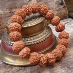 original rudraksha bracelet