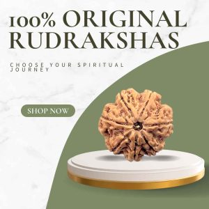 Rudraksha Bead